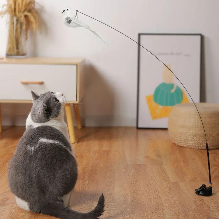 Interactive Bird Cat Toys