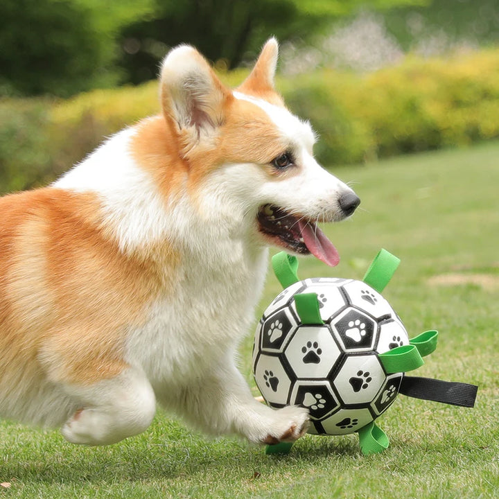 Dog Ball with Straps