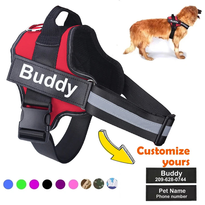 Essential Dog Harness with 3 Leash Clips