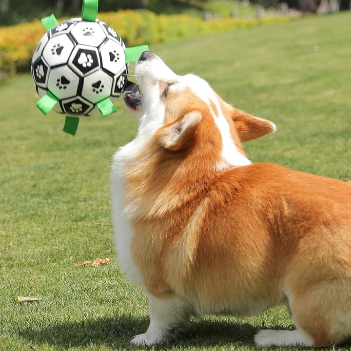 Dog Ball with Straps