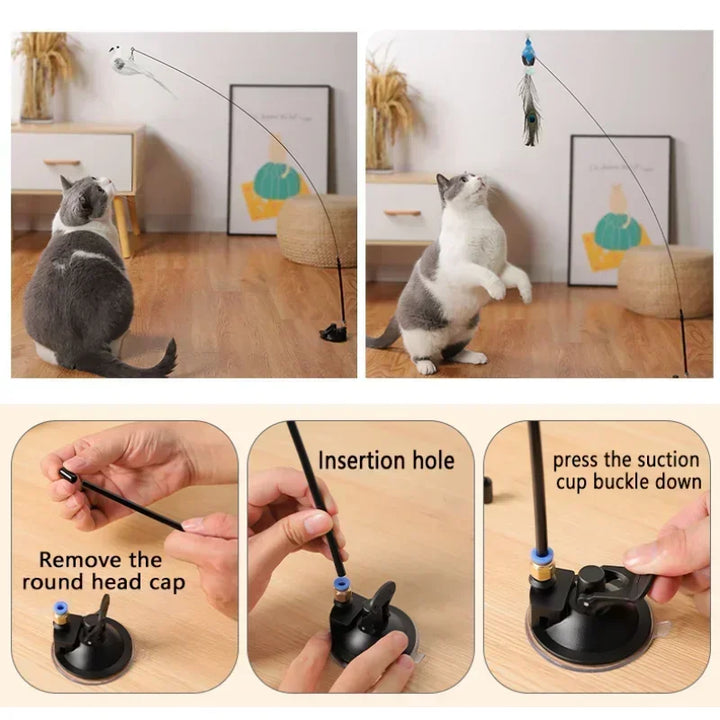 Interactive Bird Cat Toys