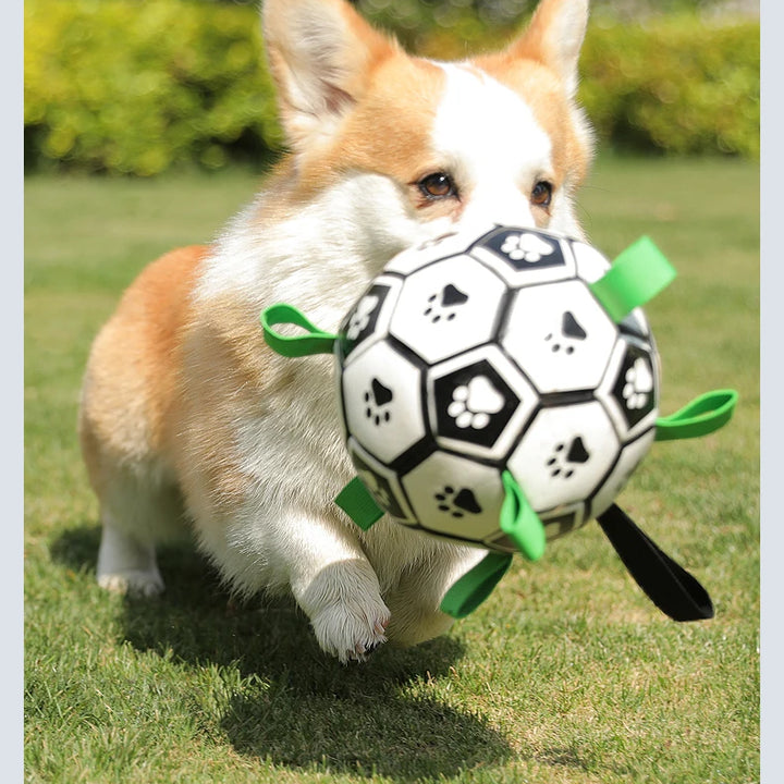 Dog Ball with Straps