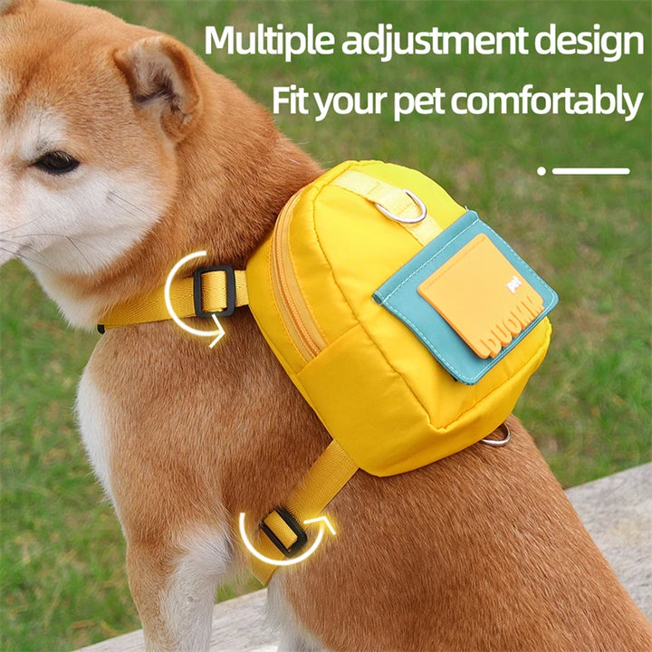 CDDMPET Pet Harness and Leash Set