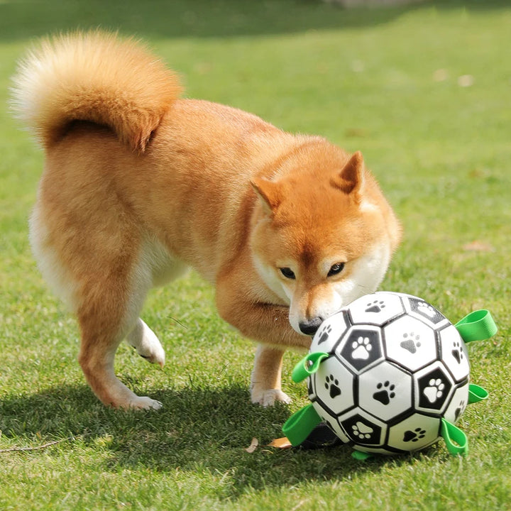 Dog Ball with Straps