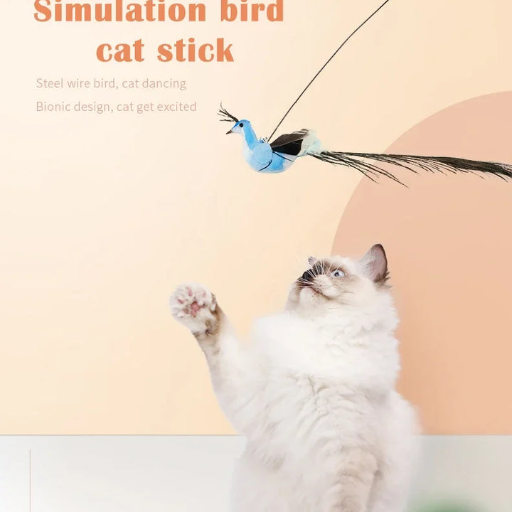 Interactive Bird Cat Toys