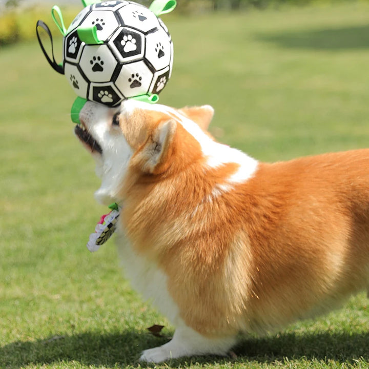 Dog Ball with Straps