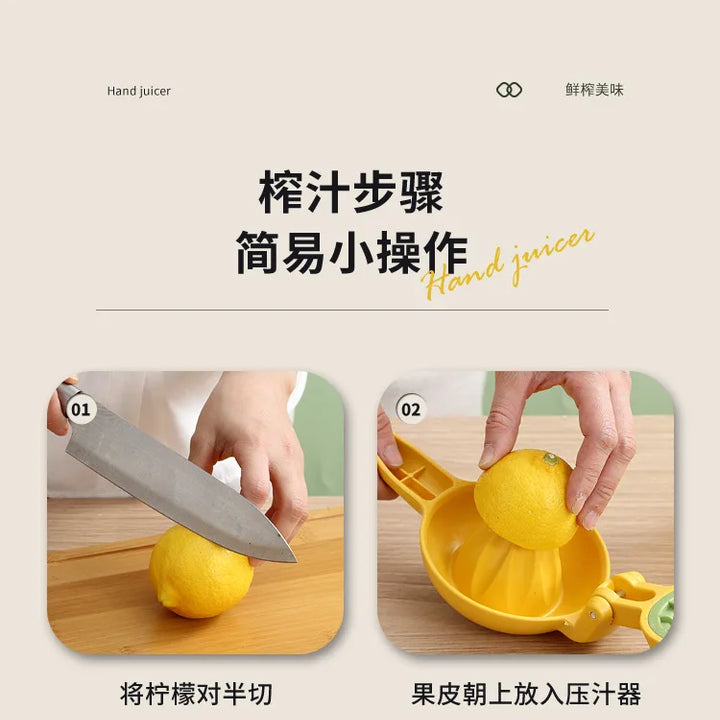 Manual Citrus Juicer