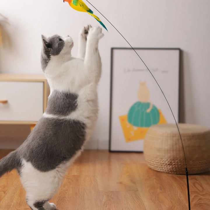 Interactive Bird Cat Toys