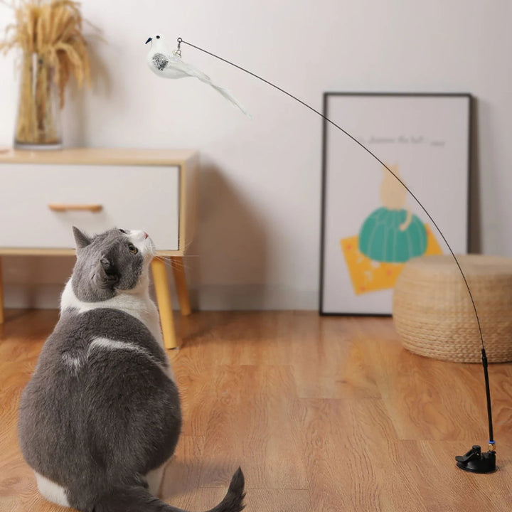 Interactive Bird Cat Toys