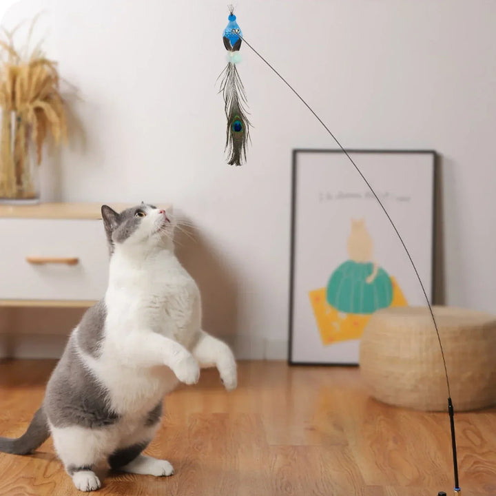 Interactive Bird Cat Toys