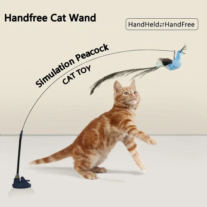 Interactive Bird Cat Toys