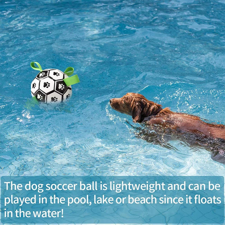 Dog Ball with Straps