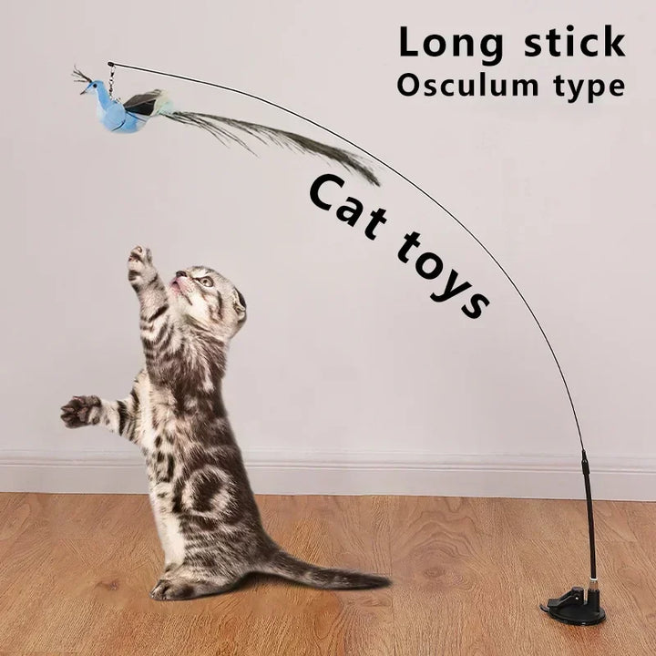 Interactive Bird Cat Toys