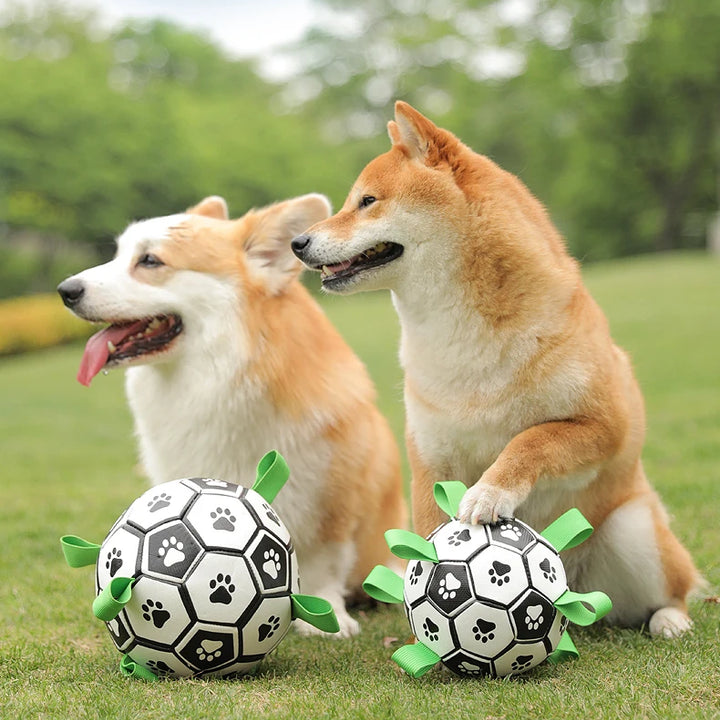 Dog Ball with Straps