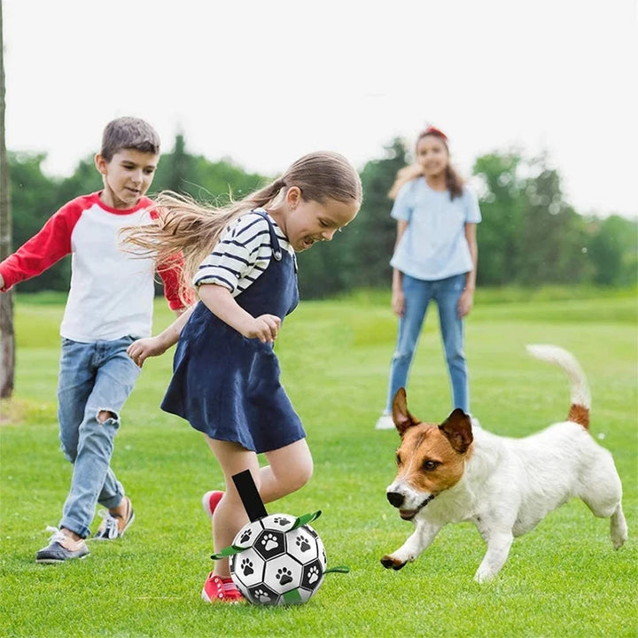 Dog Ball with Straps