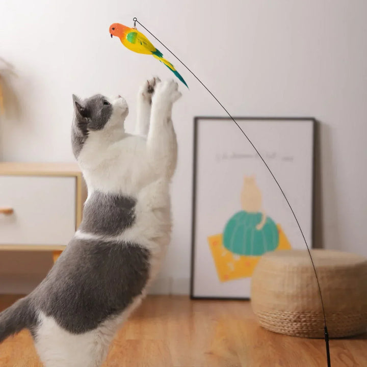 Interactive Bird Cat Toys