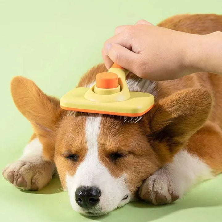 Pet Grooming Hair Remover