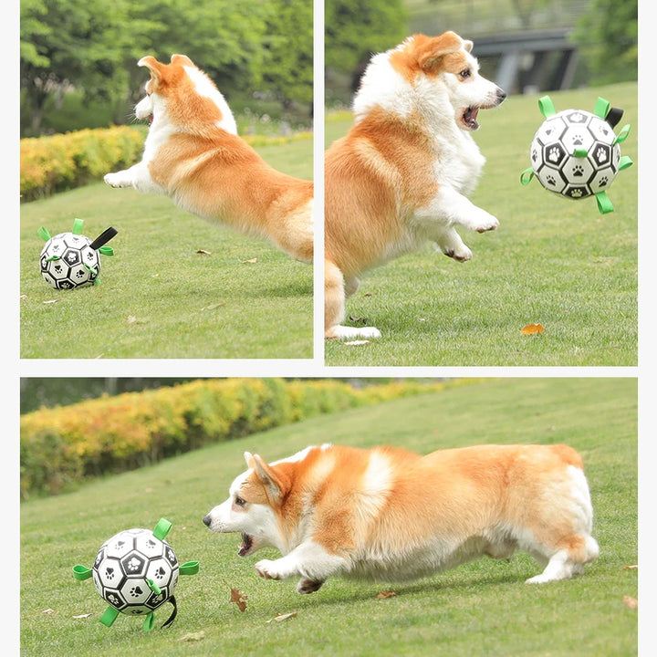 Dog Ball with Straps